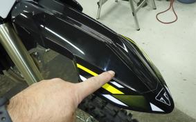 TRIUMPH TF250-X