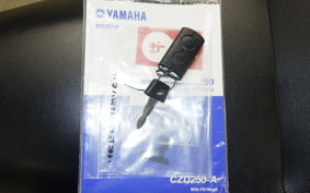 YAMAHA X-MAX 250 A 2021 SG42J