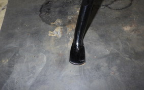 HONDA MONKEY 125 2013 JB05