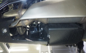 TRIUMPH DAYTONA 660 2024