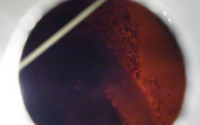 HARLEY FXSBSE 1800CVO 2014