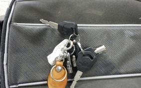 OTHER +ﾚｵﾝｱｰﾄ125 2022