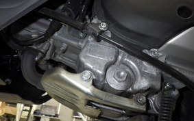 HONDA LEAD 125 JK12