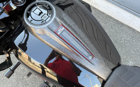 HARLEY FLTRXSTSE CVO 2024 TL8