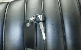 KAWASAKI W800 2023 EJ800E