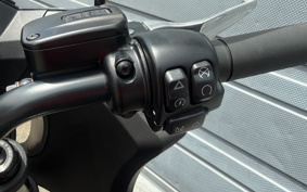 HARLEY FXLRST 2024 YXZ