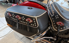HARLEY FLI 2024 BCK