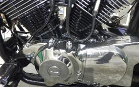 OTHER THUNDER250