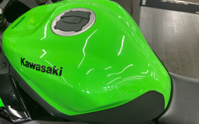 KAWASAKI NINJA ZX-25R SE ZX250E