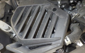 HONDA BENLY 50 AA05