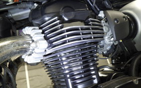 KAWASAKI W800 CAFE 2020 EJ800B