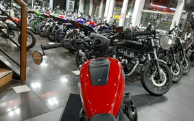 HARLEY HARLEY RH975 NIGHT  STAR 2023 ZH1