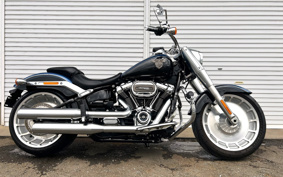HARLEY FLFBS 30th 2018 YRK