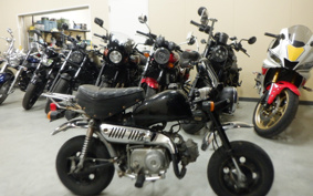 HONDA MONKEY Z50J