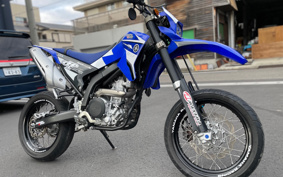YAMAHA WR250X DG20