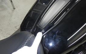 HARLEY FLTRX1920 2024