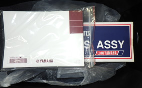 YAMAHA CYGNUSｸﾞﾘﾌｧｽ 2024 SEJ4J
