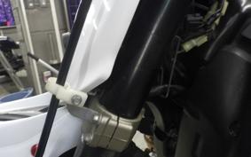 YAMAHA WR250X DG15J