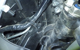 HONDA PCX125 2025 JF28