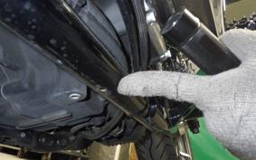 HARLEY FLSB 1750 2019