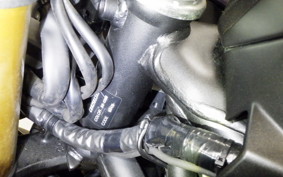 HONDA CBR250RR A MC51