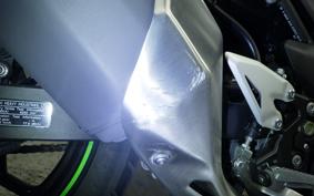 KAWASAKI Z250 Gen.2 EX250P