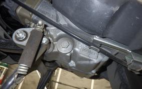 HONDA LEAD 110 2015 JF19