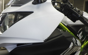 KAWASAKI NINJA 250 SL
