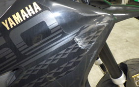 YAMAHA WR250X 2013 DG15J