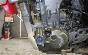 HONDA CRF250X 2025