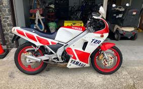 YAMAHA TZR250-1 1KT