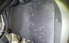 HONDA NT1100 2024 SC84