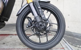 TRIUMPH SPEED 400 2024 T127Y0