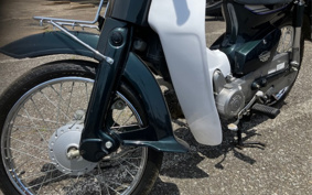 HONDA SUPER CUB50 C50