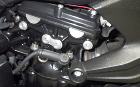 DUCATI DIAVEL 1260 2021
