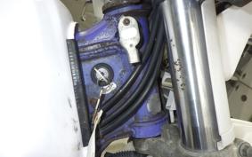 YAMAHA TT250R 2010 4GY