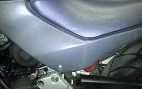 HONDA HORNET 250 MC31