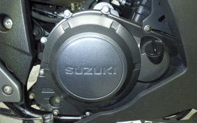 SUZUKI GSX250R 2024