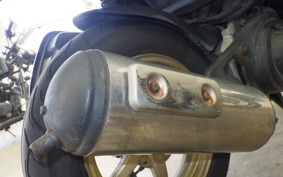 HONDA DIO ZX GEN 2 AF35