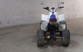 OTHER  BUGGY 50CC ..