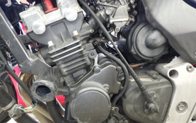 HONDA HORNET 250 MC31