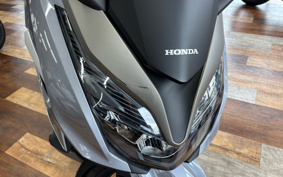 HONDA  FORZA 250 MF15