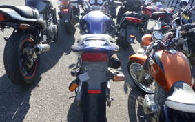 HONDA HORNET 250 MC31