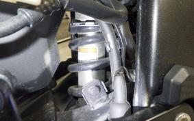HONDA CBR400R 2024 NC65