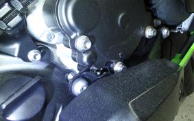 KAWASAKI NINJA ZX-6R A 2025 ZX636J