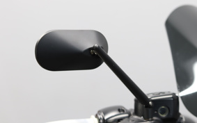 HARLEY XL883N 2017 LE2