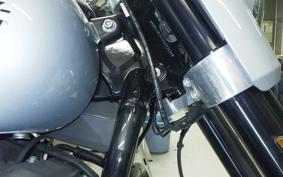 HARLEY FLSB 1750 2022