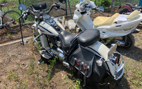 HARLEY HARLEY FLSTS1450 2021 BRL