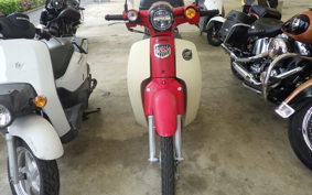 HONDA C50 SUPER CUB AA09