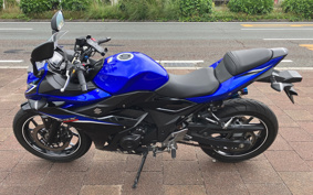 SUZUKI GSX250R DN11A